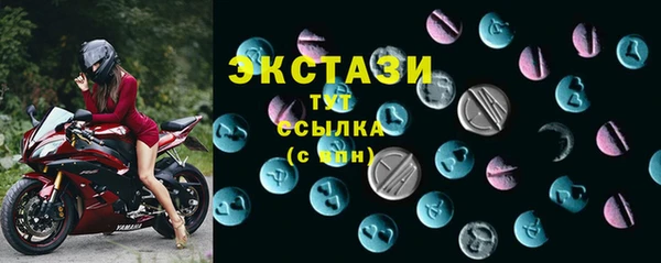 дживик Верхний Тагил