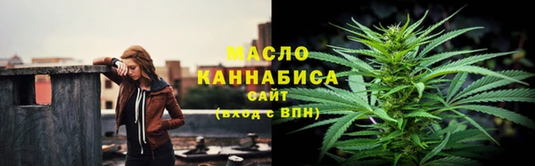 дживик Верхний Тагил