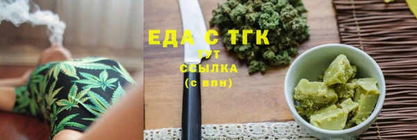 дживик Верхний Тагил