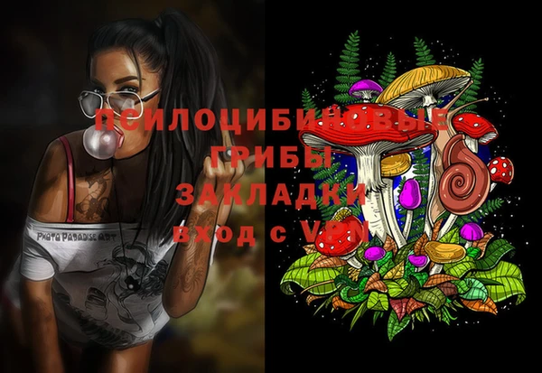 молекула духа Верея
