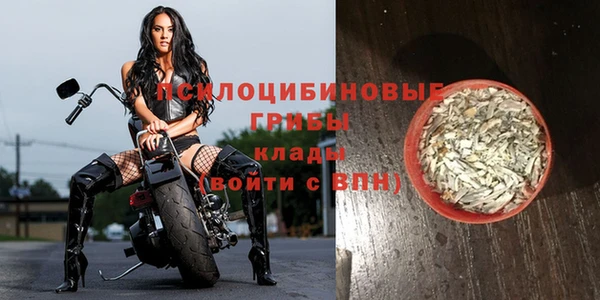 дживик Верхний Тагил