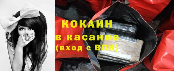 дживик Верхний Тагил